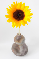 向日葵と備前焼の一輪挿し
