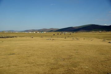 Obraz premium Steppe mongole