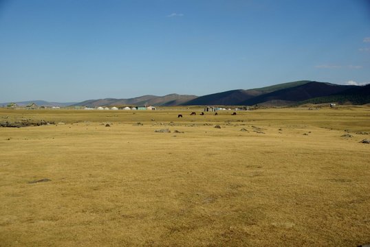 Steppe mongole
