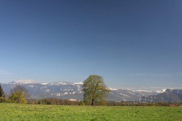 Paysage d'Isere
