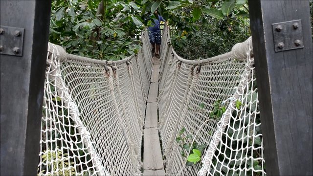 Mann auf H&auml;ngebr&uuml;cke