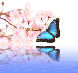 Obraz na płótnie Canvas Wiosenne kwiaty z motylem