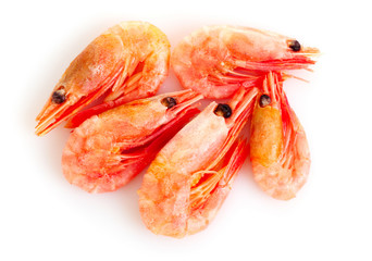 fresh shrimp isolated on white