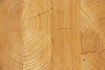 Fototapeta premium Wooden textured