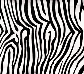 zebra print useful as a background or pattern