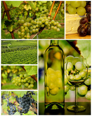 Weinberg / Collage
