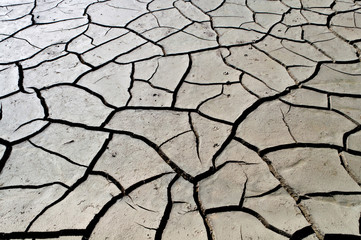 Dry ground