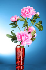 Pink flowers in a vase