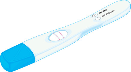 pregnancy test