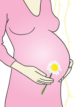 pregnant woman with chamomile