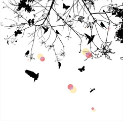 Stickers pour porte Oiseaux sur arbre arbre et oiseau