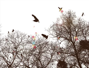 Papier Peint photo Oiseaux sur arbre arbre et oiseau