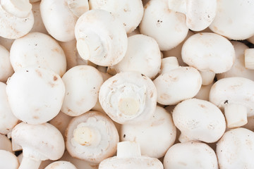 Fresh whole mushrooms