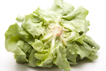 Kopfsalat von unten