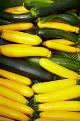 Verschiedene Zucchinisorten