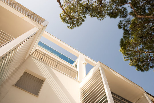 profilo di edificio e pino marittimo