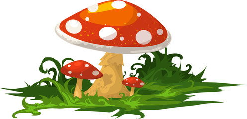 mushroom © Wichittra Srisunon