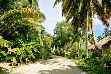 Inselweg