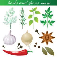herbs and spices set