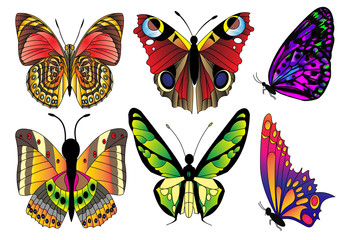 Fototapeta na wymiar illustration set butterfly