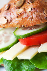 Nahaufnahme eines Käse-Sandwich