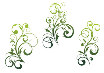 Floral elements and motifs