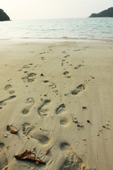 footprint, Many footprints on the beach, sea background.