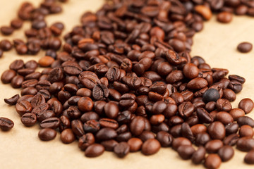 coffee beans on the parchment