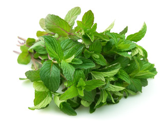 Bouquet of fresh mint