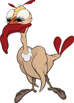 Turkey-cock. Cartoon
