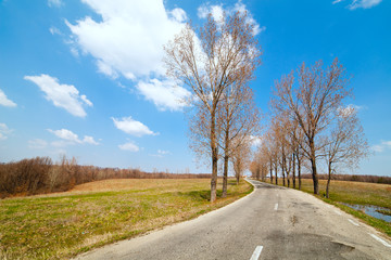 Landscape with empty road