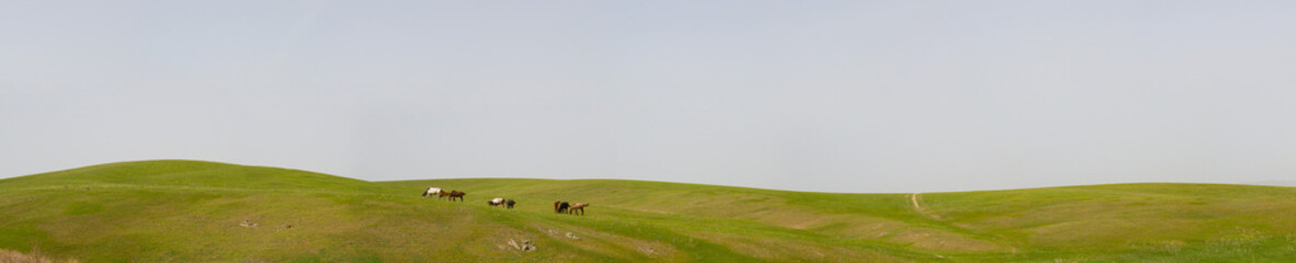 Panorama Kazakh steppe