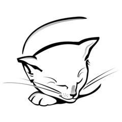 Black cat silhouette