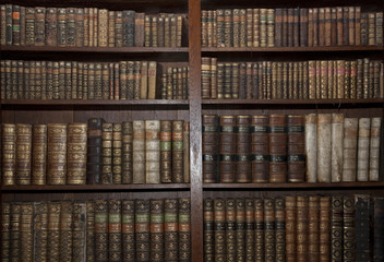 alte Bücher in der alten Bibliothek