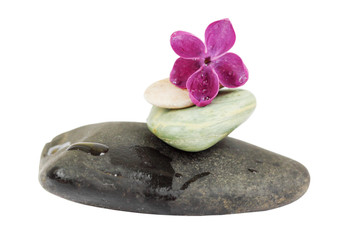 Fototapeta premium Spa stones