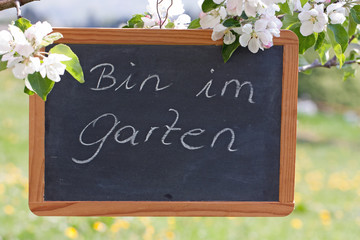 bin im garten
