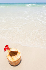 Fototapeta na wymiar coconut on white sand and beautiful wave