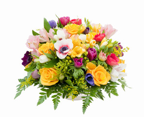 Spring flower assortment - 31805813