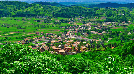 Green rural scene panoramic view. Samobor town suburb, Croatia - 31806635