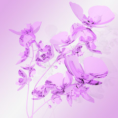 Fototapeta na wymiar bouquet of pink orchids