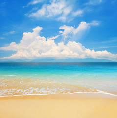 beach and beautiful tropical sea with island
