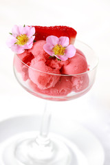 Strawberry sorbet