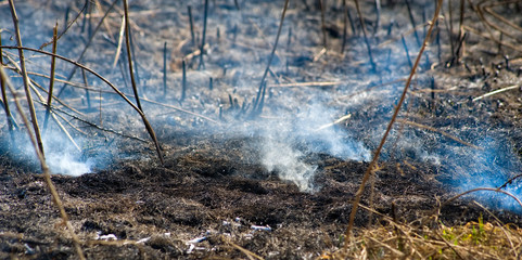 Smoke from burning grass_2