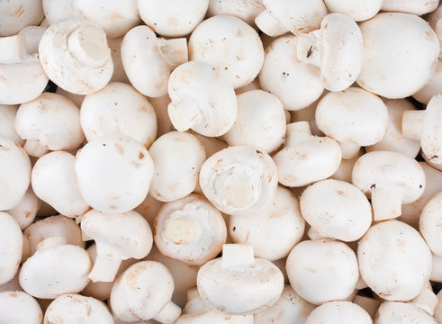 Background of fresh whole mushrooms