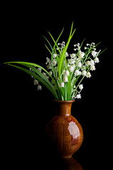 snowdrops in a vase
