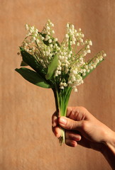 muguet des bois