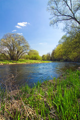 Fototapeta na wymiar Spring countryside - river, trees and blue sky