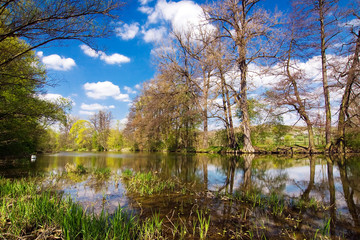 Spring countryside - river, trees and blue sky