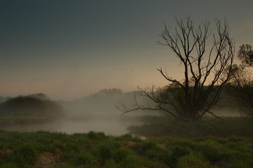 Fototapeta na wymiar Poranna mgła