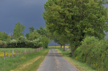chemin de campagne